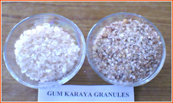 Gum Karaya Granules, 